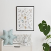 Banc coffre à jouets Harlequin Gris CamCam