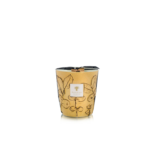 Baobab Collection Bougie Folia Garrigue Max 16