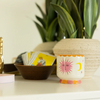 Bougie A Dopo Sun - Orange Blossom Paddywax