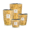 Bougie Folia Garrigue Max 10 Baobab Collection