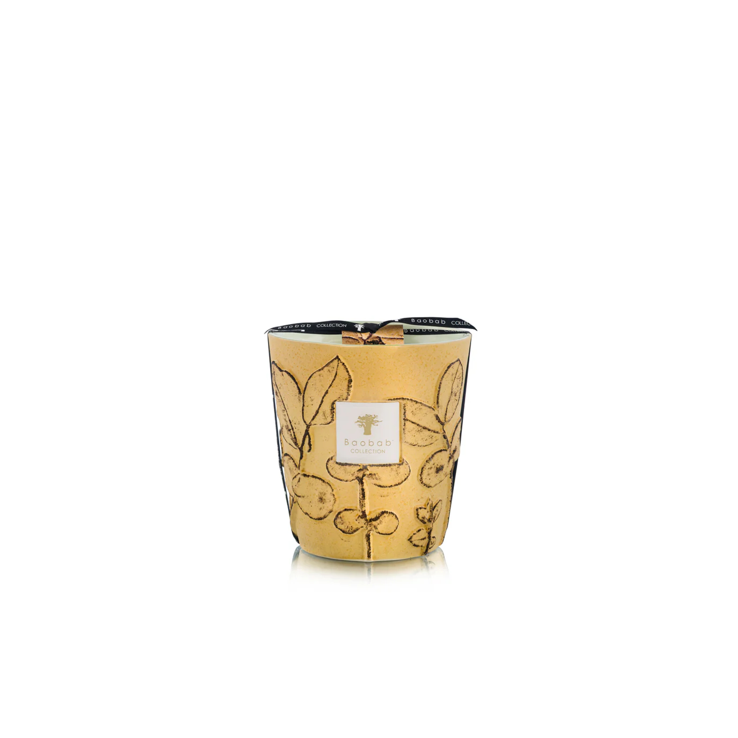 Bougie Folia Garrigue Max 16 Baobab Collection