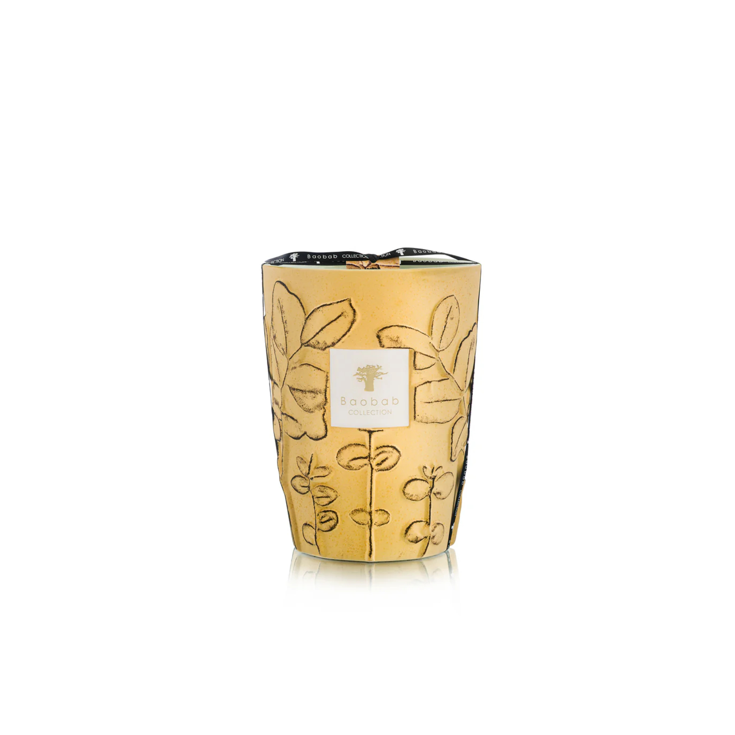 Bougie Folia Garrigue Max 24 Baobab Collection
