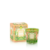 Bougie My First Baobab - Tomorrowland Baobab Collection