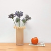 Bougie Pom'Glow Orange Salvia Opjet