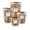 Bougie Sacred Trees Dualla Baobab Collection