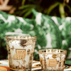 Bougie Tomorrow Land Baobab Collection