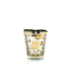 Bougie Tomorrow Land Max 16 Baobab Collection