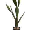 Cactus en pot (84 cm) Jasaco