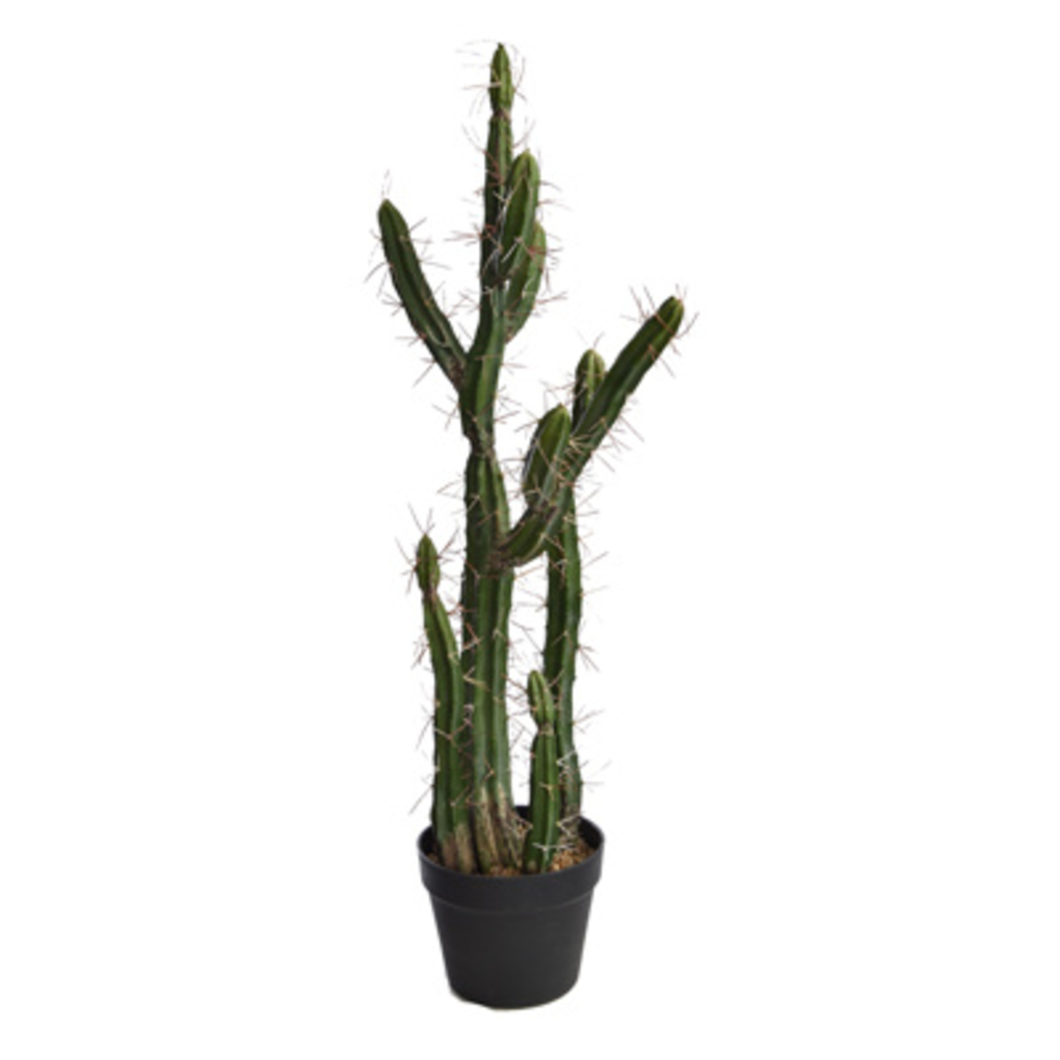 Cactus en pot (85 cm) Jasaco
