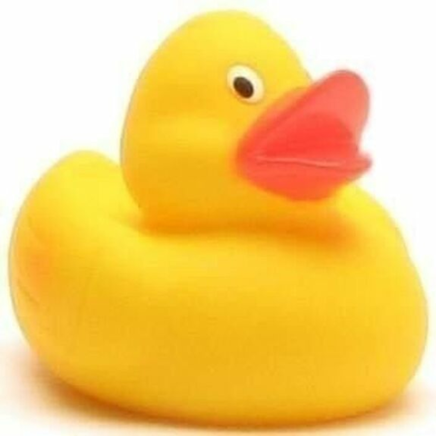 Canard de Bain Rainer Duckshop