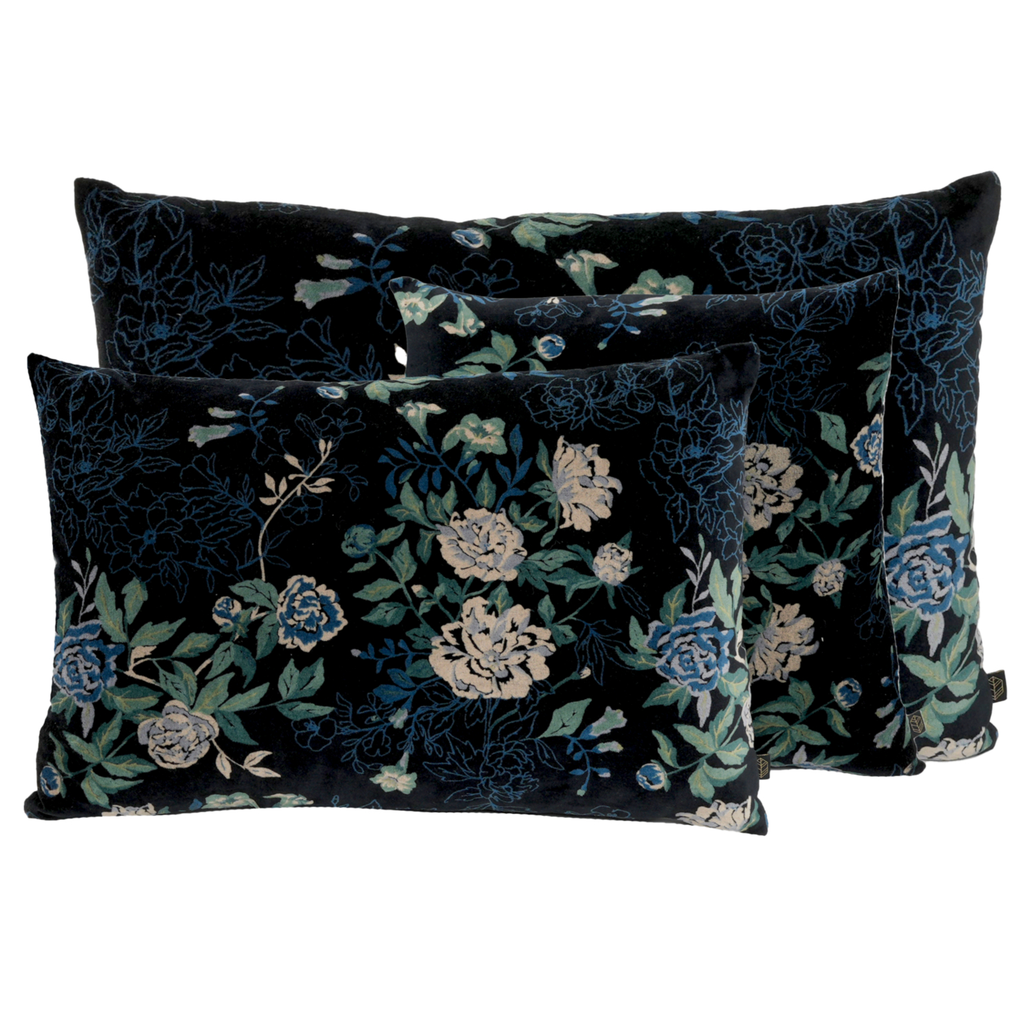 Coussin Ottawa Pigeon Haomy
