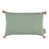 Coussin Sublim Toffee Sweet Dots/Eden Green Nobodinoz
