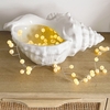 Déco Pot Conque Opjet