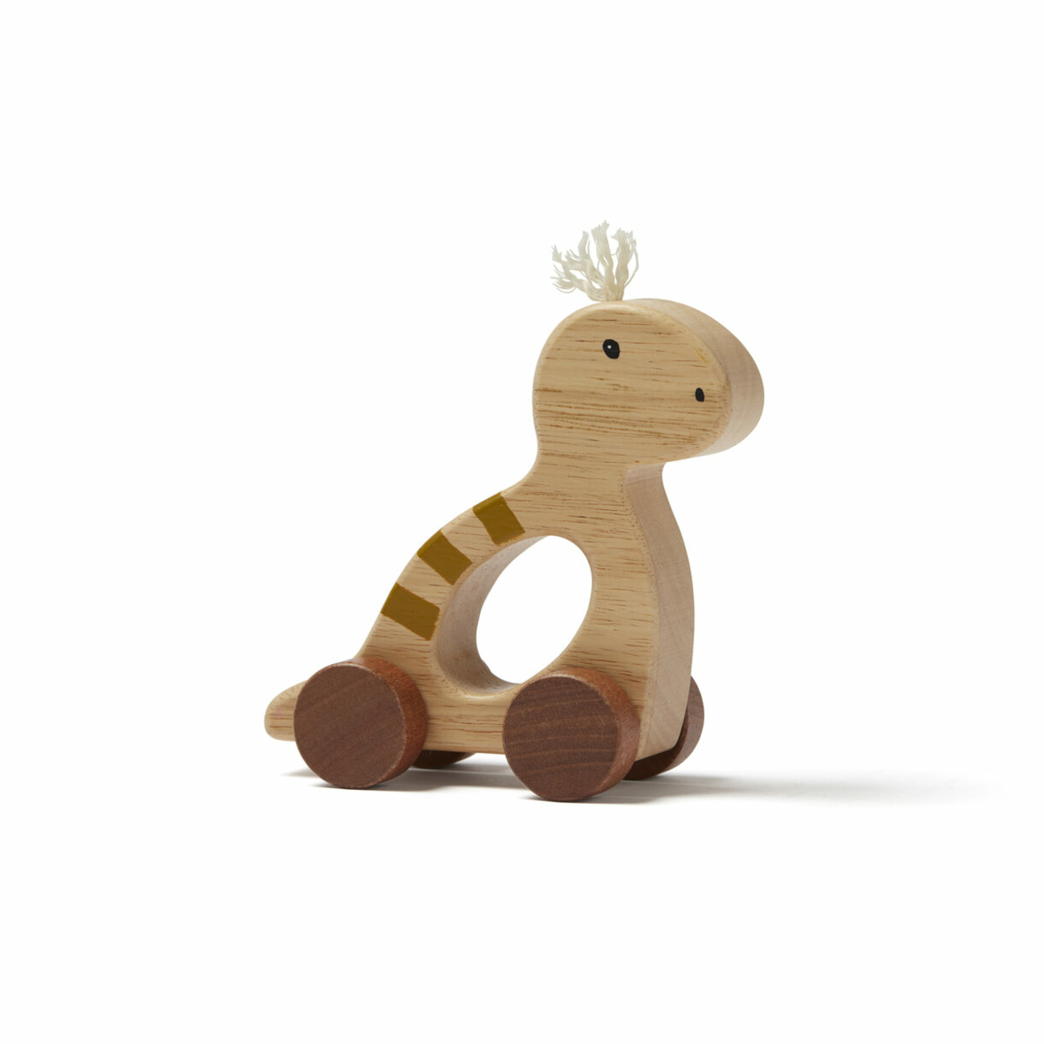 Dino à pousser Neo Naturel Kids Concept