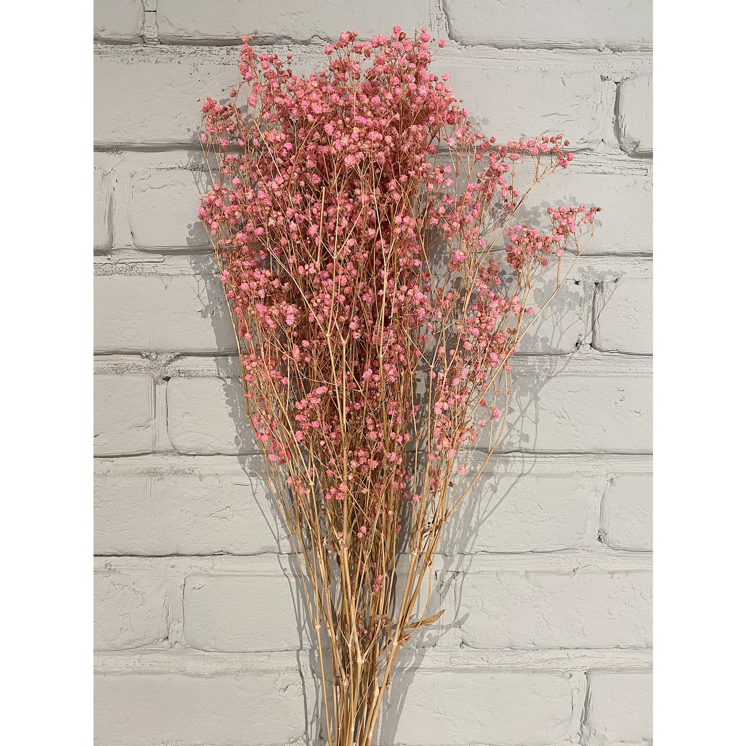 Fleurs de Gysophile Poudre (70 cm) Opjet