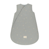Gigoteuse d'hiver Snowy Willow Soft Blue 6-18 mois Nobodinoz