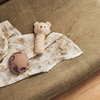 Hochet Teddy Bear Biscuit Jollein