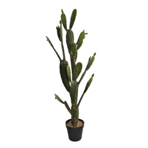 Jasaco Cactus en pot (143 cm)