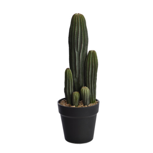 Jasaco Cactus en pot (41 cm)