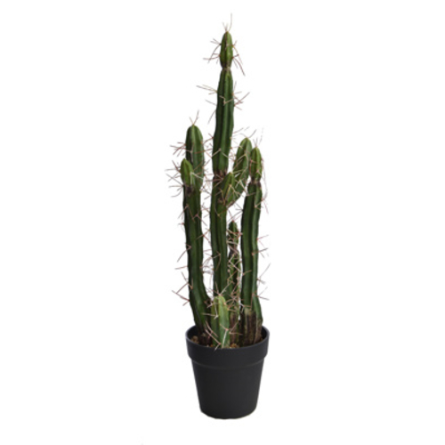 Jasaco Cactus en pot (61 cm)