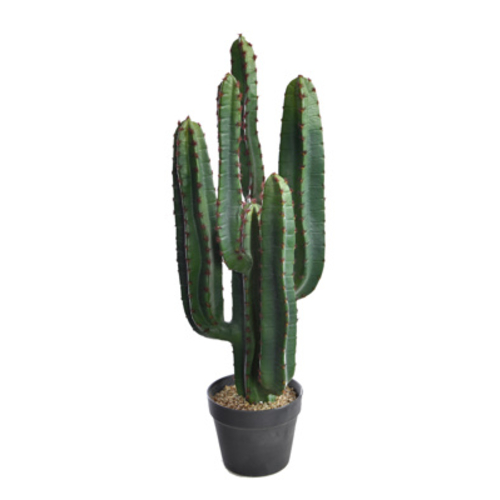 Jasaco Cactus en pot (77 cm)