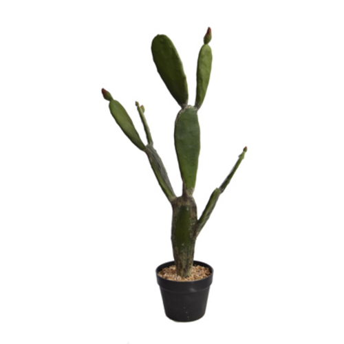 Jasaco Cactus en pot (84 cm)