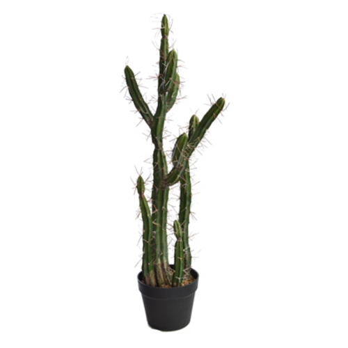 Jasaco Cactus en pot (85 cm)