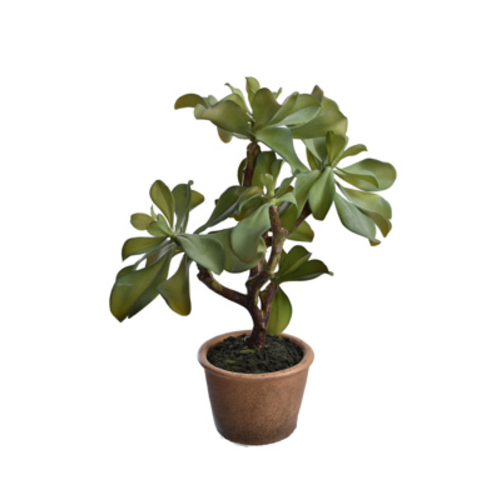 Jasaco Succulente en pot (42 cm)