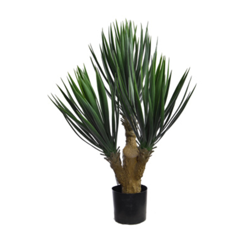Jasaco Yucca en pot (72 cm)