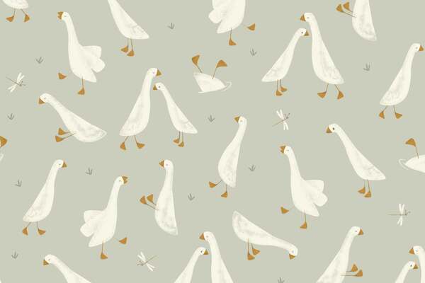 Little Goose