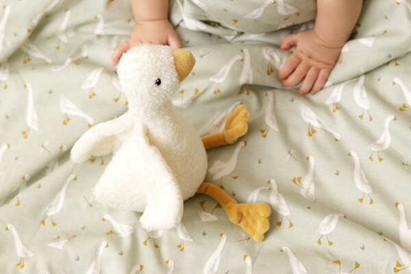Little Goose