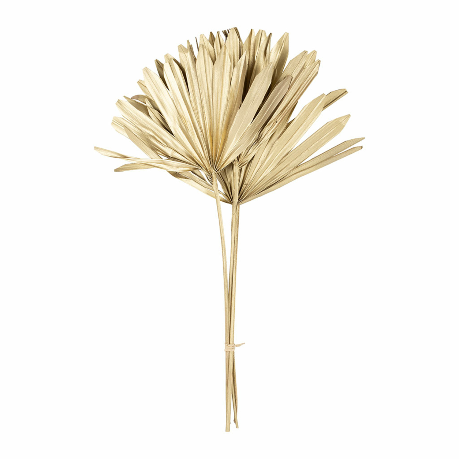 Lot de 3 feuilles de palmier Sema Design