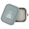 Lunchbox Small Shark Trixie