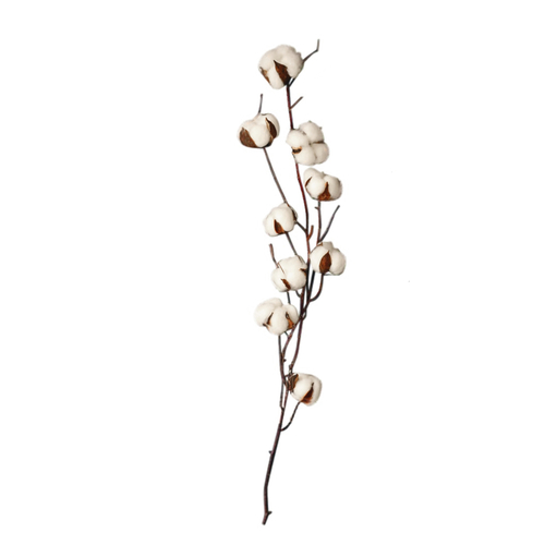Opjet Fleurs de Coton Naturel (90 cm)