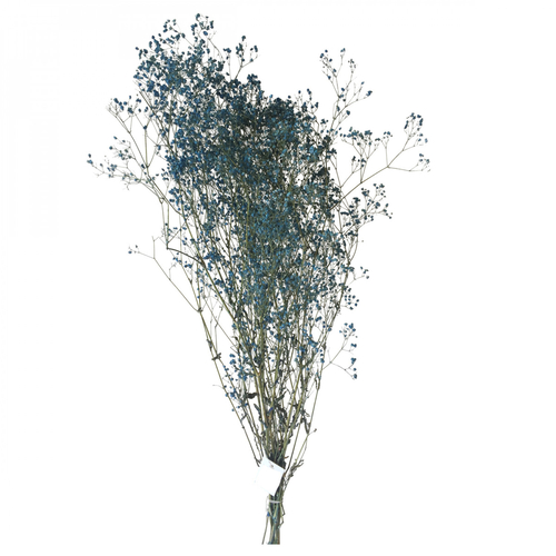 Opjet Fleurs de Gypsophile Bleu (70 cm)