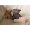 Peluche Lumineuse Oie Liva Flow Amsterdam