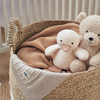 Peluche Teddy Ours Jollein