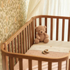 Peluche Teddy Ours Wild Rose Jollein