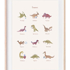 Poster Dinosaures Mushie