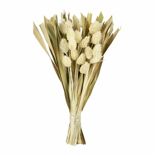 Sema Design Bouquet Fleurs Séchées Alpiste Blanc (H.25 cm)