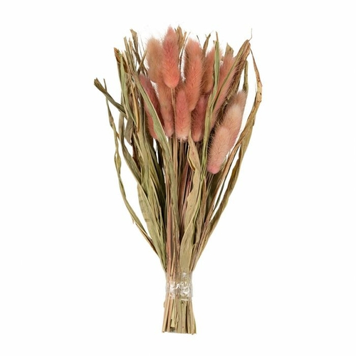 Sema Design Bouquet Fleurs Séchées Lagure (H.25 cm) Rose
