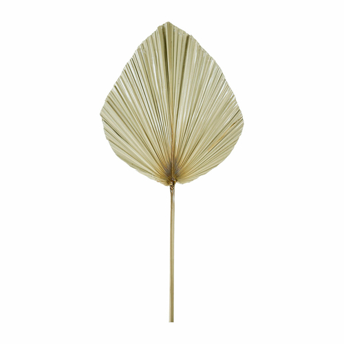 Sema Design Feuille de palmier (40 x 80 cm)