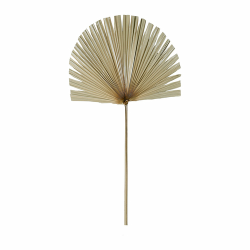 Sema Design Feuille de palmier (50 x 96 cm)