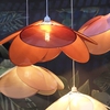 Suspension Evasion Fleur Poudre Opjet