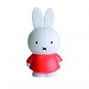 Tirelire Miffy 18cm Mr Maria