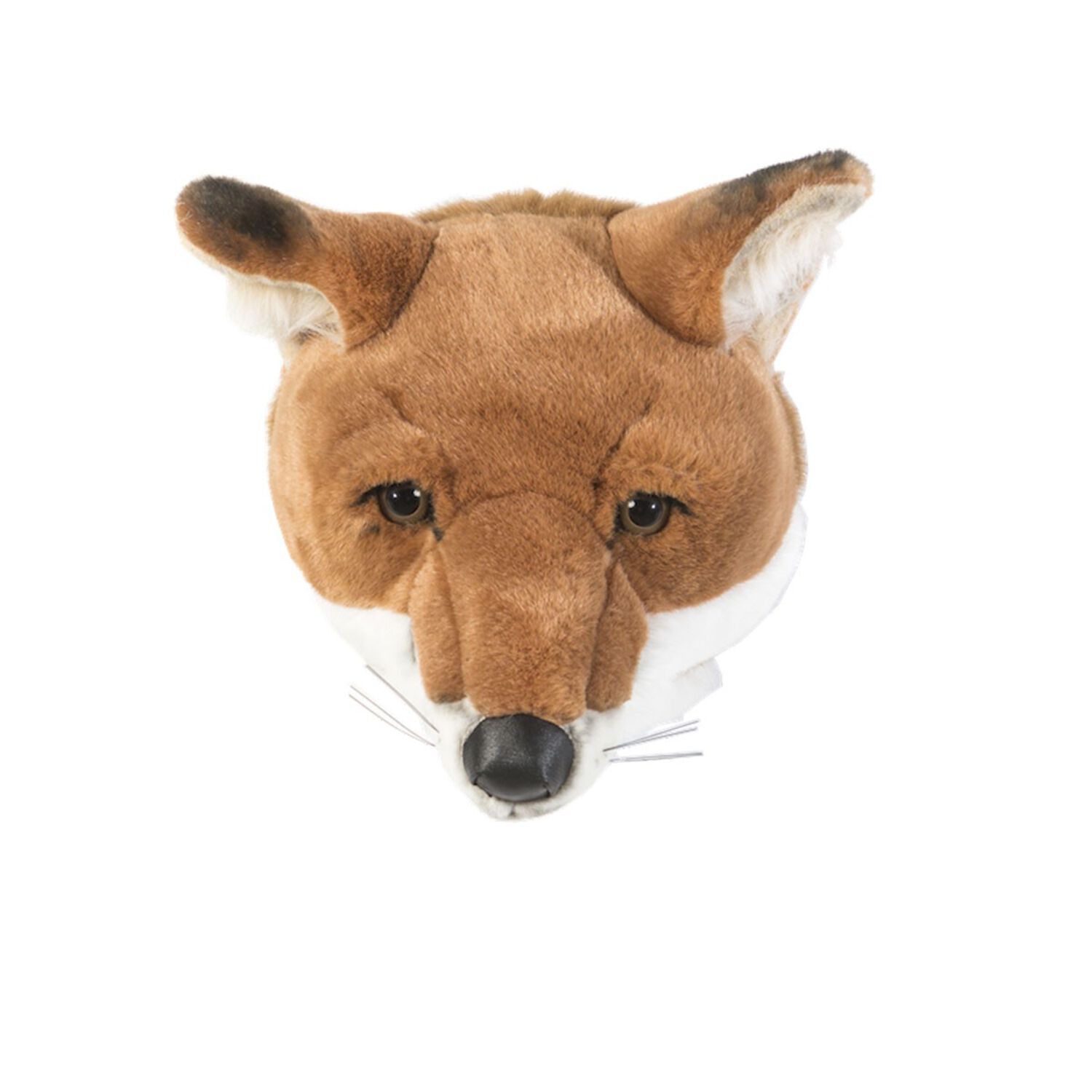 Trophée Peluche Renard Wild & Soft