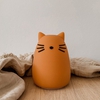 Veilleuse Winston Chat Liewood