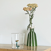 Verre Nature Alphabet F Raisin Opjet
